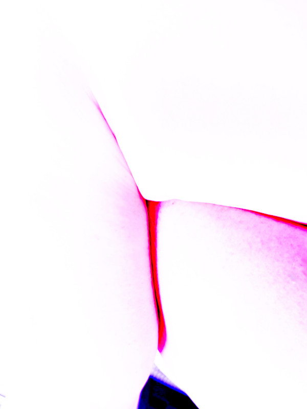 Ladies Always Cross Their Legs (Landscape of a Body) 1 by Christine Blankenship