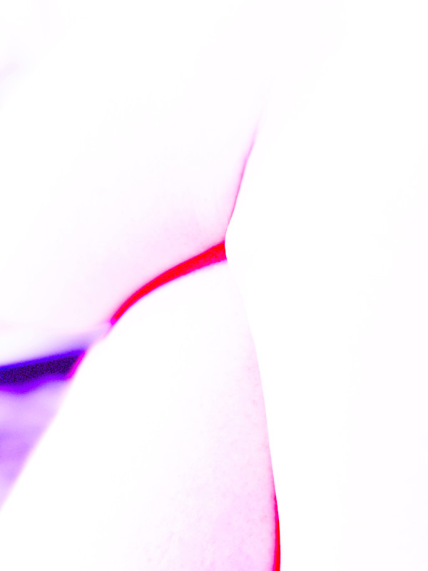 Ladies Always Cross Their Legs (Landscape of a Body) 2 by Christine Blankenship