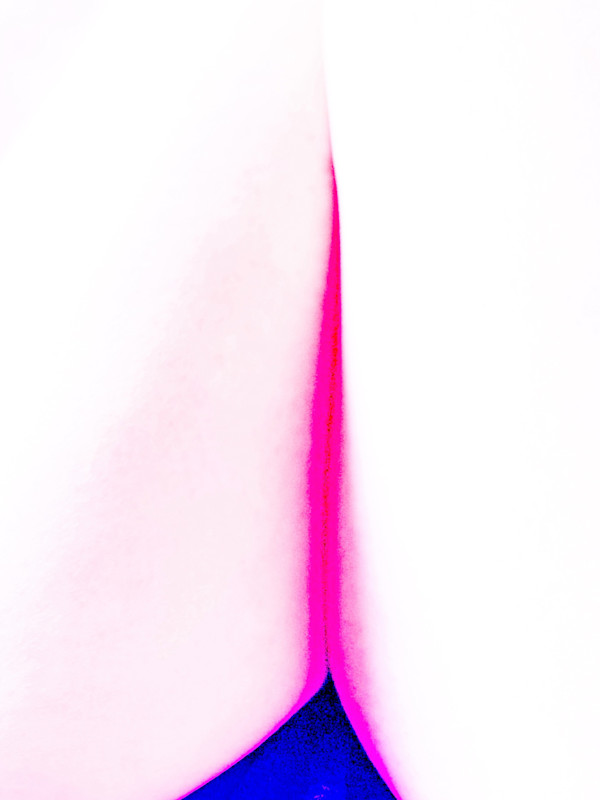 Ladies Always Cross Their Legs (Landscape of a Body) 6 by Christine Blankenship