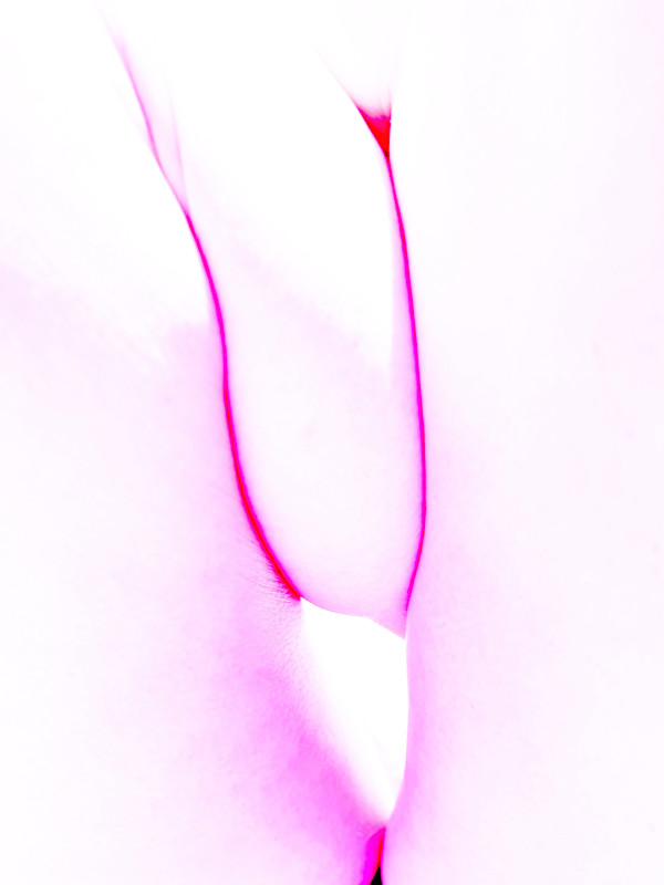 Ladies Always Cross Their Legs (Landscape of a Body) 5 by Christine Blankenship