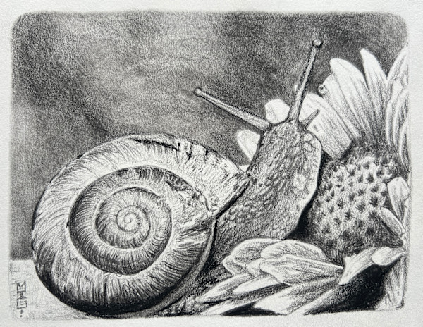 Snail & Sunflower by Michael T. Gardner