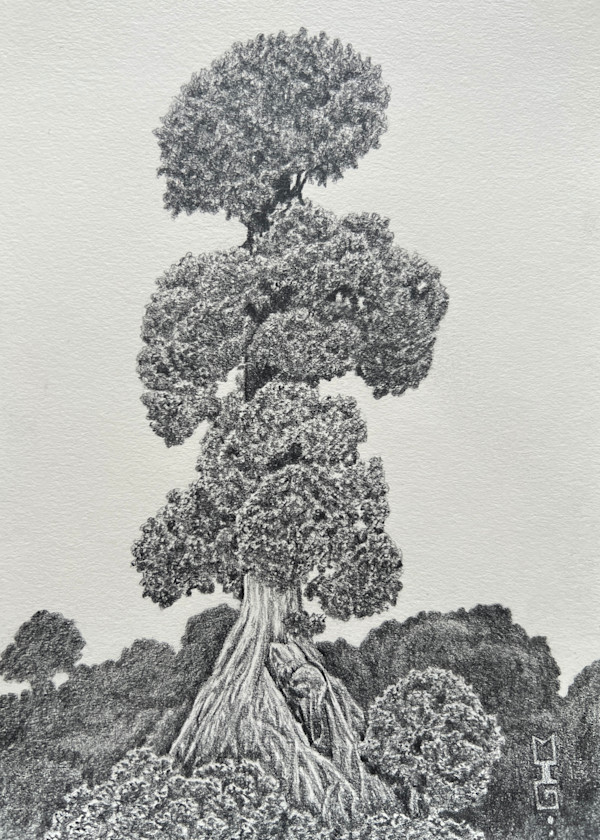 Emperor's Tree by Michael T. Gardner