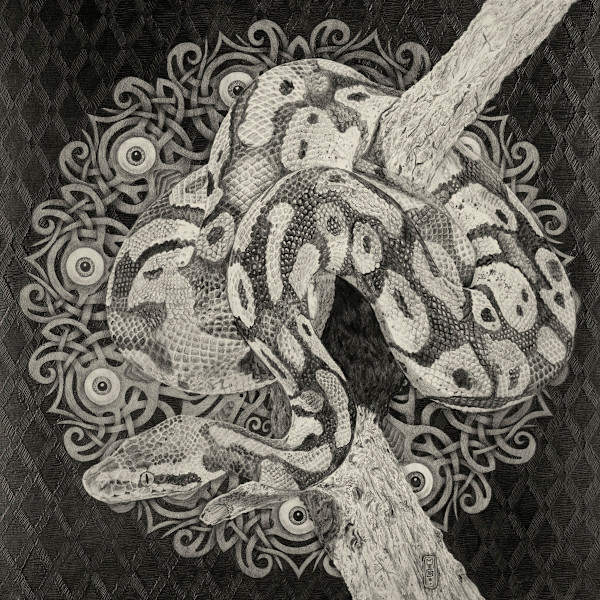 The Voyeur by Michael T. Gardner, Image 3.