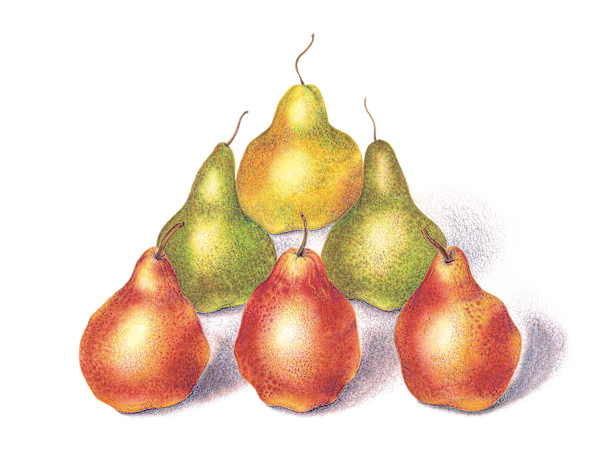 Pyramid Pears #2 by Mary Ahern