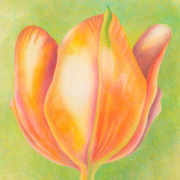 Small Wonders - Orange Tulip Series #1 by Mary Ahern