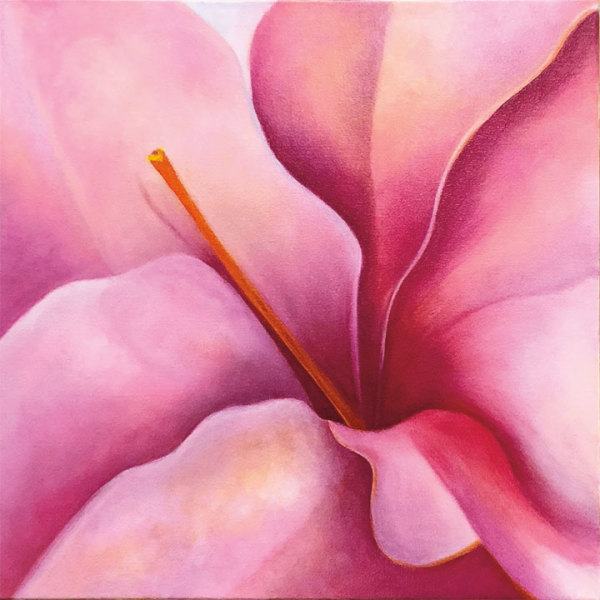Here I Am - Candy Wind HIbiscus by Mary Ahern