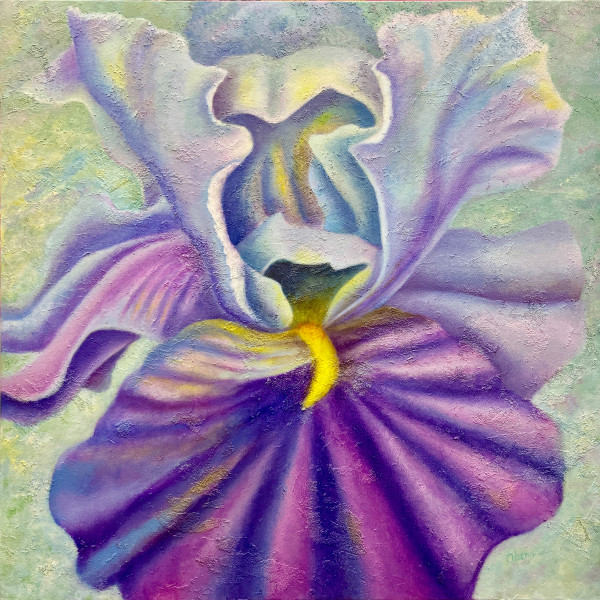 Playful - Purple Rain Iris by Mary Ahern
