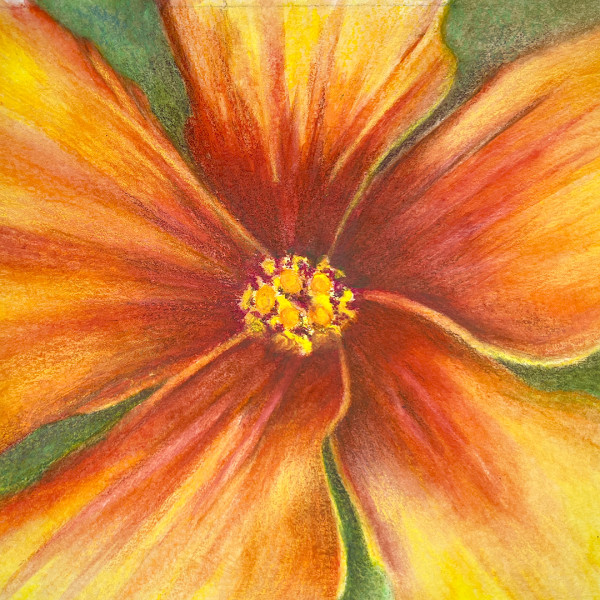 Orange Hibiscus Single by Mary Ahern