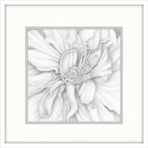 Double Hibiscus - Drawing by Mary Ahern