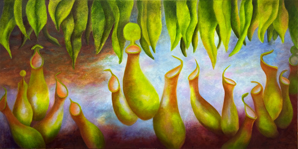 Cosmic Nepenthes by Mary Ahern