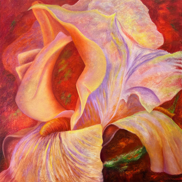 Cosmic Iris Squared by Mary Ahern