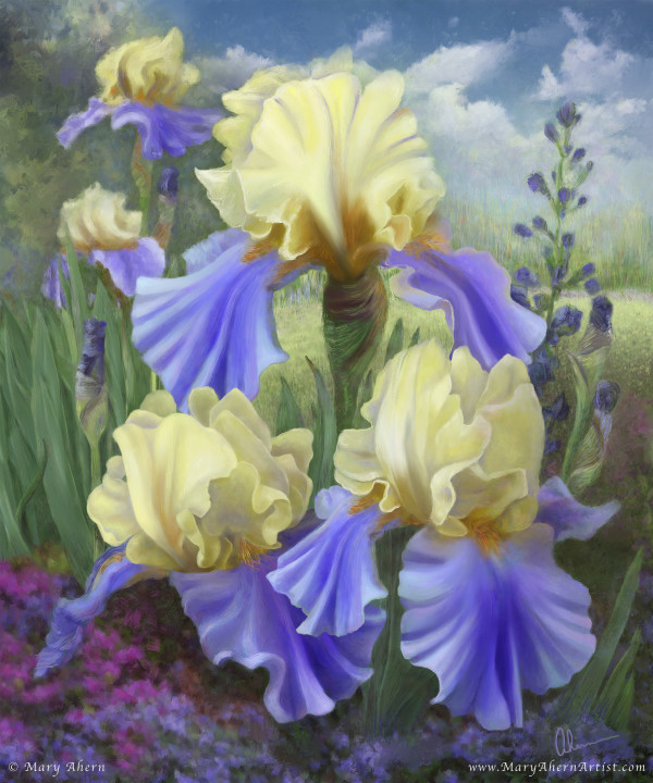 Ellen's Irises 1/2 by Mary Ahern