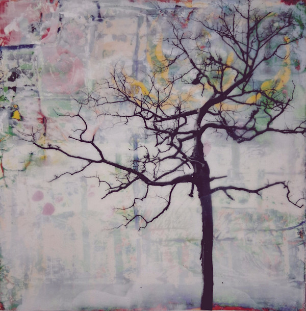 I Have Always Been Here by Lisa Ruch