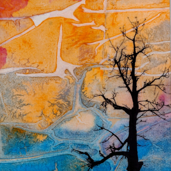 Watching Over the Cosmos by Lisa Ruch