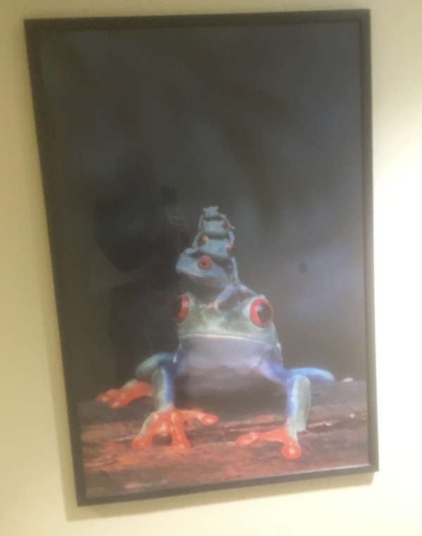 Untitled, Image 1.