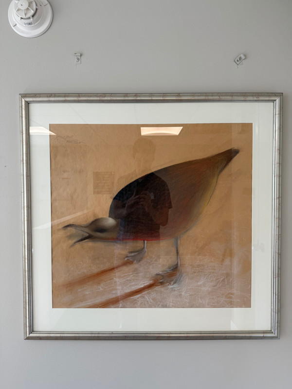 Young Seagull by Russel Frost, Image 1.