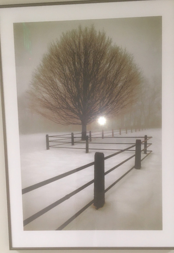 Solitude by David Lorenz Winston, Image 1.