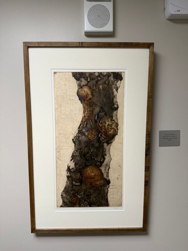 Sycamore Study 11 by Anna McKee, Image 1.