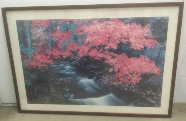 Untitled, Image 1.