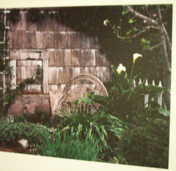 Johnson House Garden by William Self