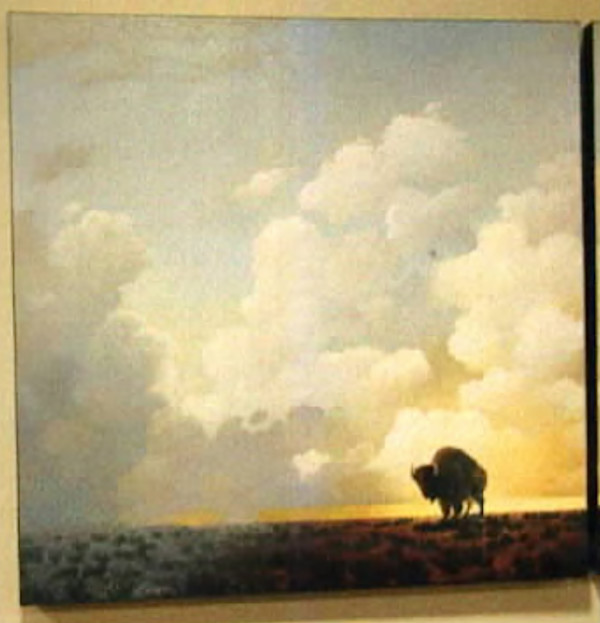 Buffalo Plains 4 by Craig Kosak