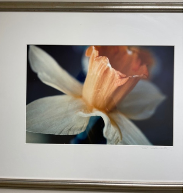 Untitled by Malcom Edwards, Image 1.