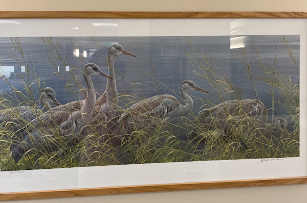 Untitled by Robert Bateman, Image 1.