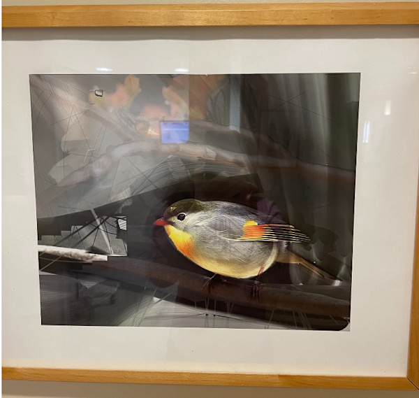 Untitled, Image 1.