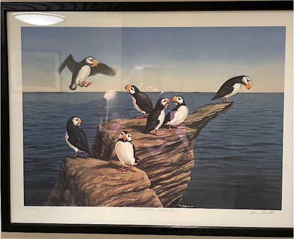 Puffin Island by Tim Shields, Image 1.