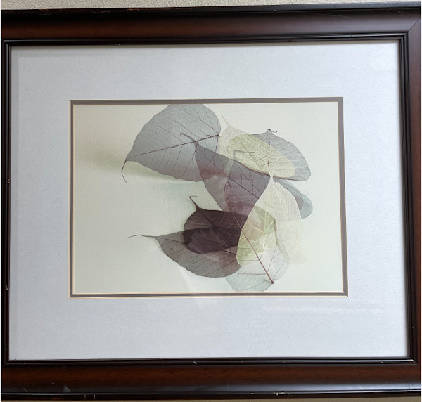 Untitled, Image 1.