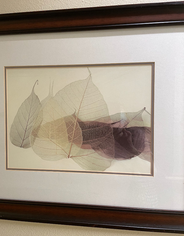 Untitled, Image 1.