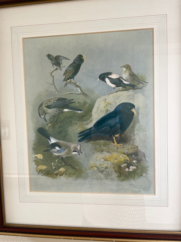 Untitled, Image 1.