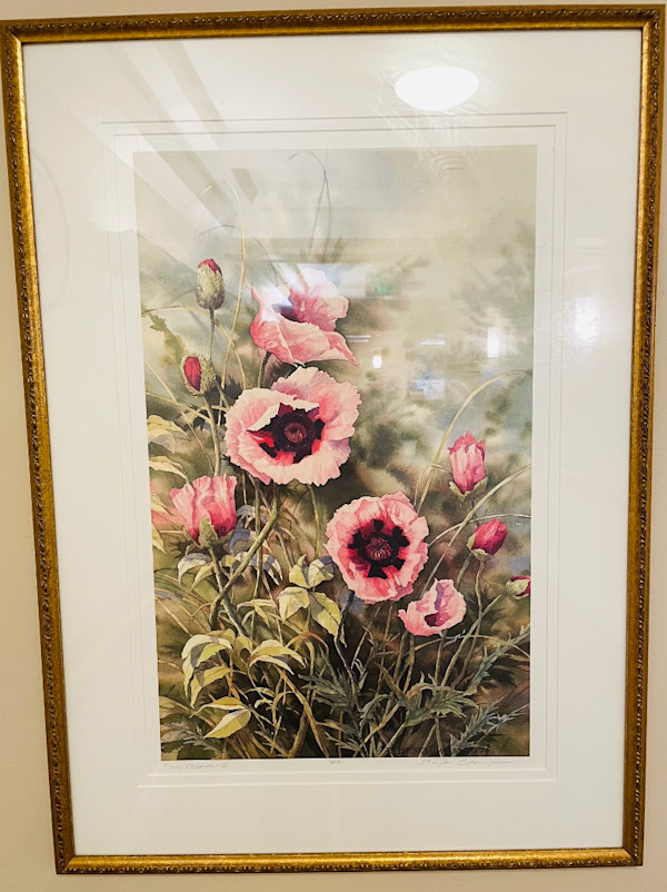 Pink Poppies II (Reproduction) by N. Taylor Stonington