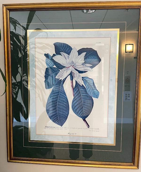 Magnolia Print, Image 1.