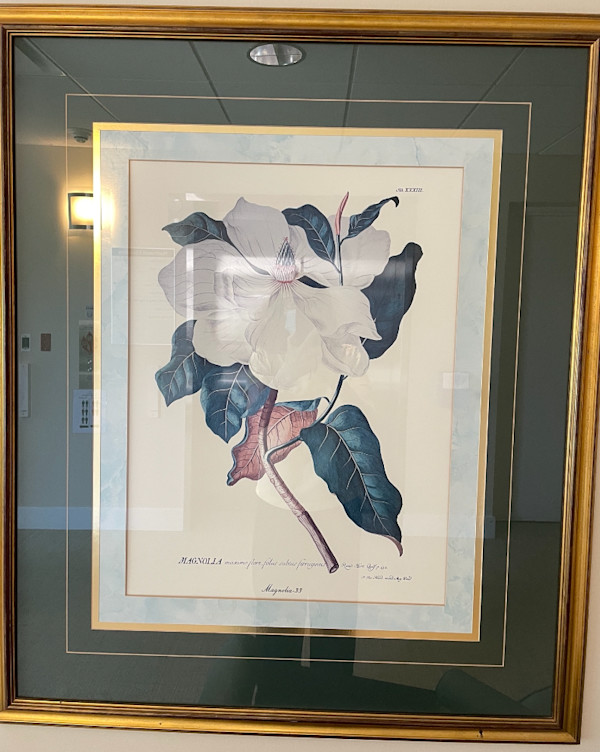 Magnolia Print, Image 1.