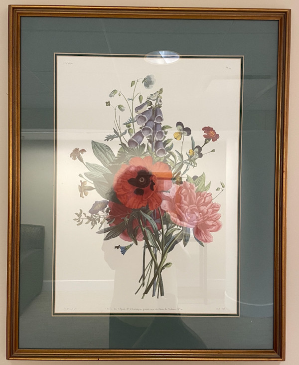 Untitled, Image 1.