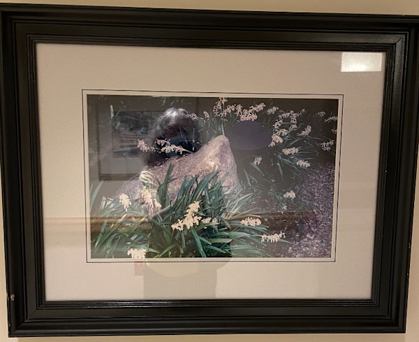 Untitled, Image 1.