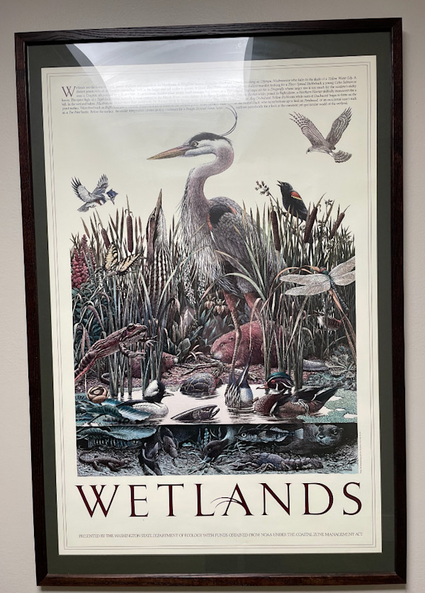 Wetlands Poster by Washington State Departemnt of Ecology, Image 1.