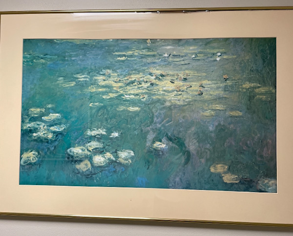 Water Lillies, Image 1.