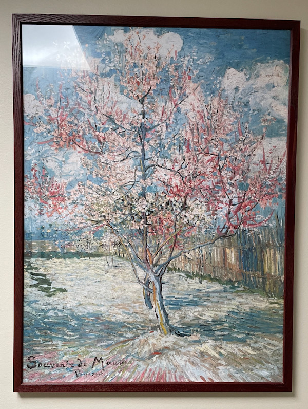 Peach Tree in Bloom (Reproduction) by Vincent Van Gogh, Image 1.