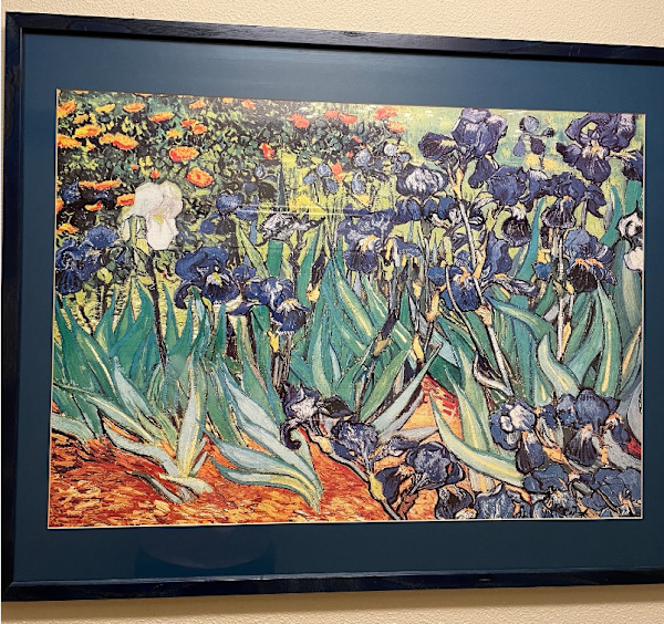 Irises (Reproduction) by Vincent Van Gogh, Image 1.