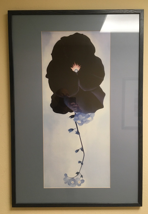 Black Pansy and Forget-Me-Nots (Reproduction) by Georgia O'Keefe, Image 1.
