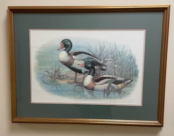 Untitled, Image 1.