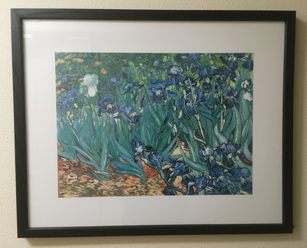 Irises (Reproduction) by Vincent Van Gogh, Image 1.