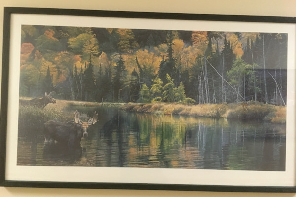 Untitled, Image 1.