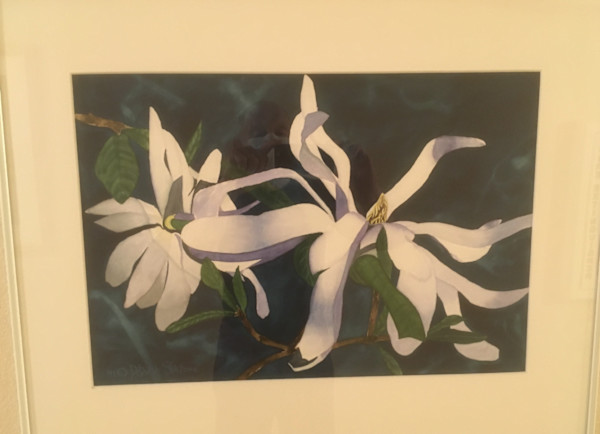 Untitled, Image 1.