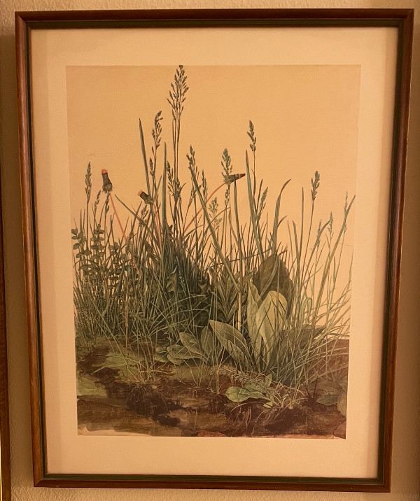 Untitled, Image 1.