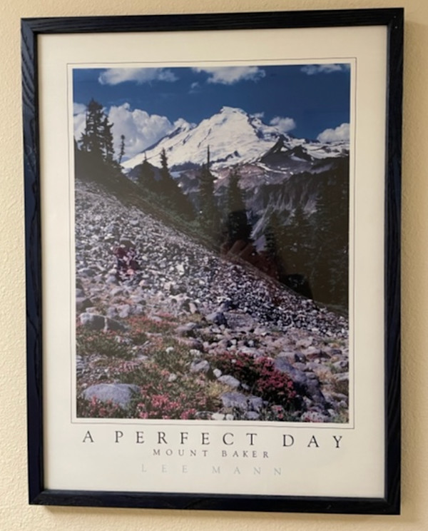 A Perfect Day by Lee Mann, Image 1.
