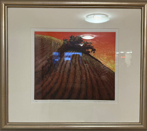 Tilted Field by Susan Bennerstrom, Image 1.