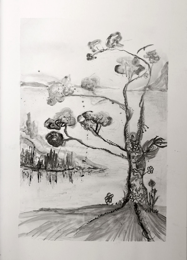 Lake Dundee by Natascha Nigg